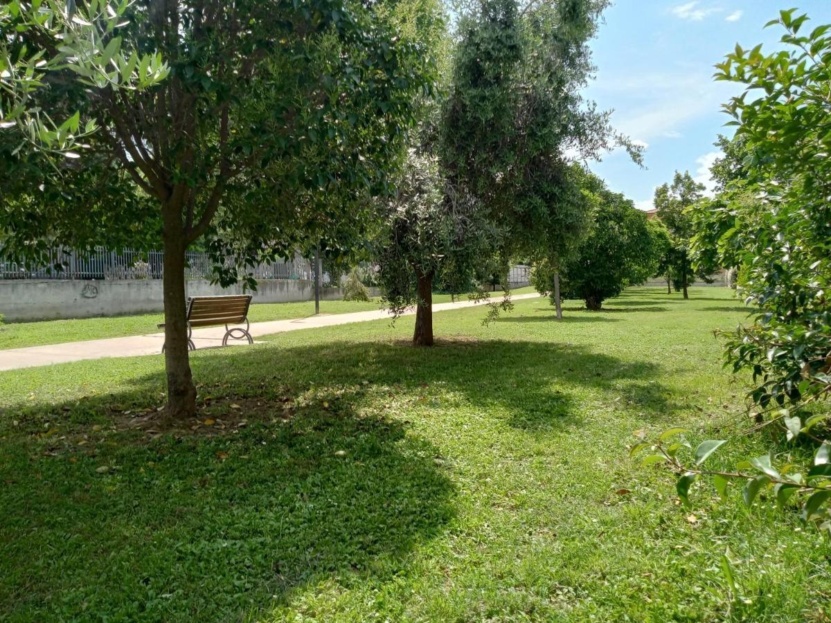 Casa Giardino Διαμέρισμα Σαν Μπενεντέτο ντελ Τρόντο Εξωτερικό φωτογραφία